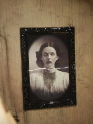 -Zoolung Zoolung动物主题公园(海信广场店)