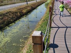 -田园东方蜜桃村的田野营地