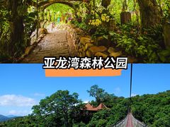 -三亚亚龙湾铂尔曼别墅度假酒店