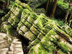 -梭布垭石林景区