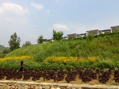 -紫海香堤香草艺术庄园