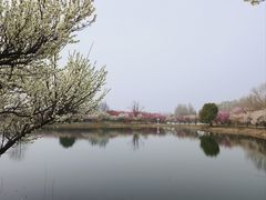 -泗洪洪泽湖湿地景区