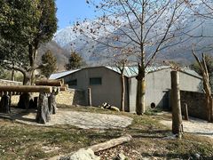 -卧龙中华大熊猫苑神树坪基地