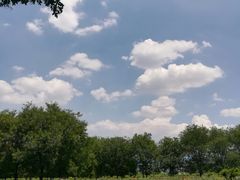 -汉景帝阳陵博物院