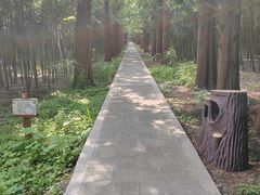 -同里国家湿地公园