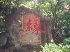 -杭州黄龙洞