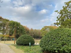 -后襄河公园
