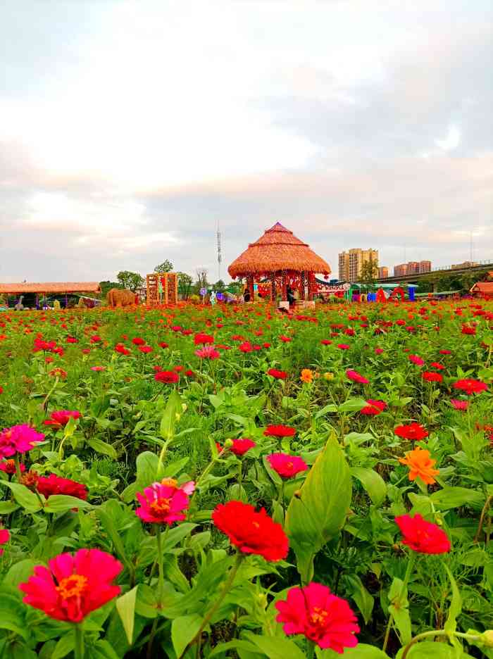 阿农湾农耕文化园-"园区挺大的,里面有吃饭的地方,出品还不错.