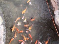 -森谷美食公园(杨行店)