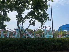-上海野生动物园