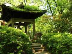 -杭州花家山庄