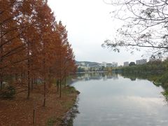 -浙江农林大学(东湖校区)