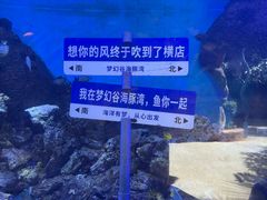 -横店影视城梦幻谷园区
