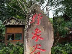 -野象谷景区