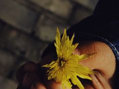 -南京市江宁方山