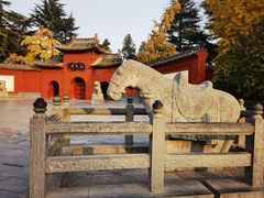 -洛阳白马寺
