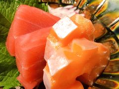 -鲤·鮨KOISUSHI