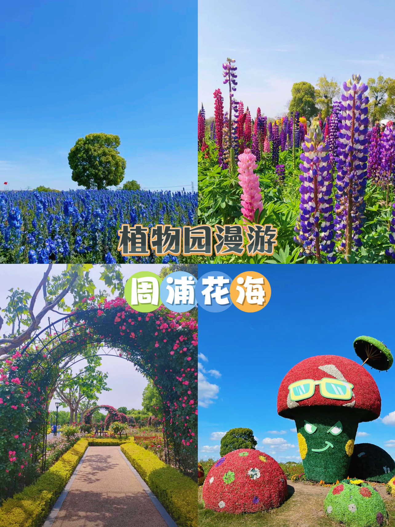 周浦花海生态园门票图片