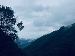 -牛背梁国家森林公园