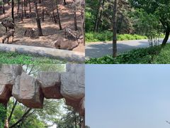 -沈阳森林动物园