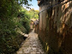 -杨家堂村