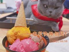-歎雪糕低糖低脂Gelato冰淇淋
