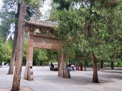 寺门前上百年的树与牌坊-少林寺景区