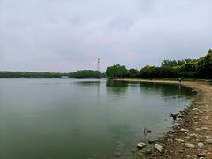 -大兴滨河森林公园