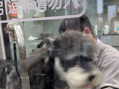 -宠物家(长阳店)