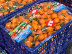 -桃花堤公园