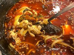 -鸿顺老铁锅美蛙鱼府(解放碑店)