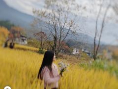 -塔川景区