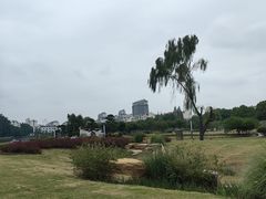 -苏州市姑苏区少年宫(沧浪分部)