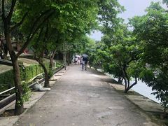 -满記土窑烧鷄波浪山莊