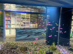 -酷嗒动物文化乐园(cutezoo西溪乐天城店)