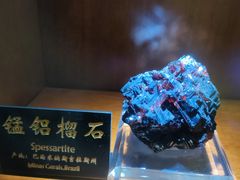 -青岛德国总督楼旧址博物馆