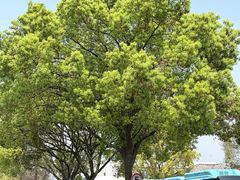 -妈妈菜舟山海鲜(定海古城店)