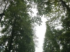 -虹口漂流