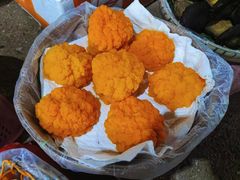 -云南木水花野生菌交易中心