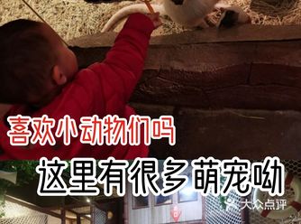 喜欢小动物们吗 这里有很多萌宠呦