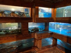 水产区-尽膳·鱼鲜川菜(宽窄巷子店)