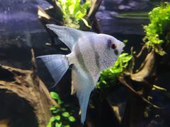 -迪拜水族馆及水下动物园
