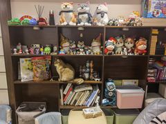 零售区-逗柴咖啡屋·狗咖猫咖宠物桌游