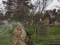 -广州市帽峰山景区
