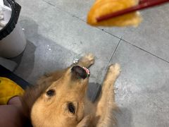 -荔银肠粉(深圳宝安西乡店)