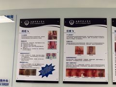 -上海市东方医院(总院)