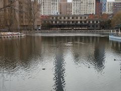 -团结湖公园