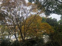 -江南大学(蠡湖校区)
