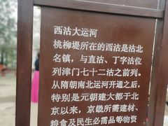 -桃花堤公园