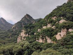-大岭沟猕猴桃谷风景区